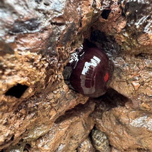 Unverified at suppressed - suppressed