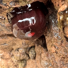 Unverified at suppressed - suppressed