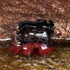 Unverified at suppressed - suppressed