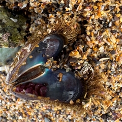 Unverified at suppressed - suppressed