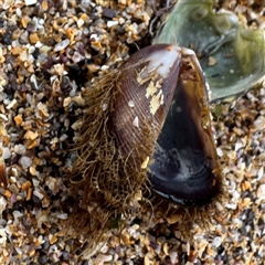 Unverified at suppressed - suppressed