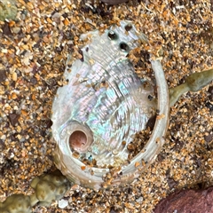 Unverified at suppressed - suppressed