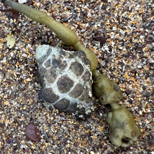 Unverified at suppressed - suppressed