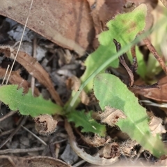 Unverified at suppressed - suppressed