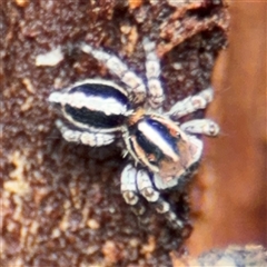 Unverified at suppressed - suppressed