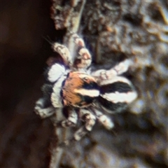 Unverified at suppressed - suppressed