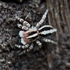 Unverified at suppressed - suppressed