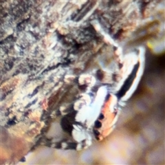 Unverified at suppressed - suppressed