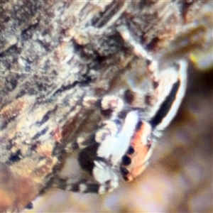 Unverified at suppressed - suppressed