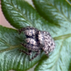 Unverified at suppressed - suppressed