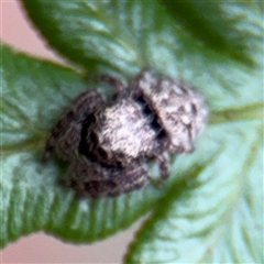 Unverified at suppressed - suppressed