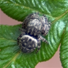 Unverified at suppressed - suppressed