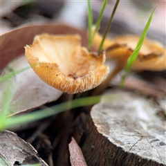 Unverified at suppressed - suppressed