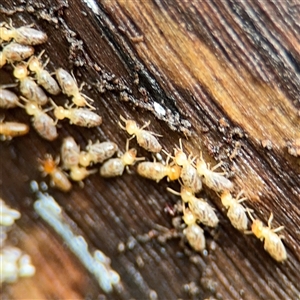 Unverified at suppressed - suppressed