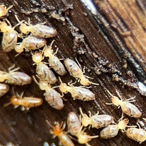 Unverified at suppressed - suppressed