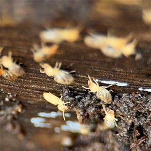 Unverified at suppressed - suppressed