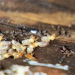 Unverified at suppressed - suppressed