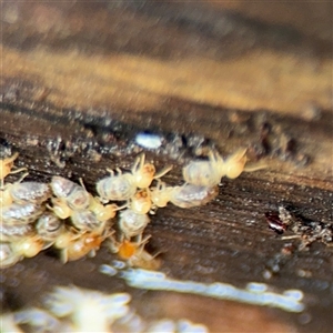 Unverified at suppressed - suppressed