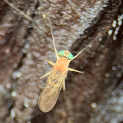 Unverified at suppressed - suppressed