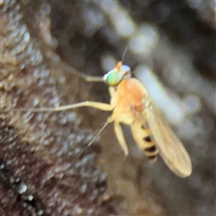 Unverified at suppressed - suppressed