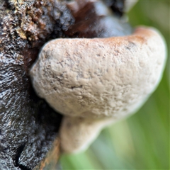 Unverified at suppressed - suppressed