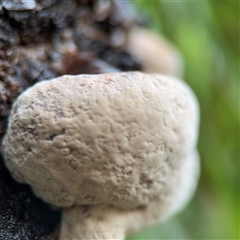 Unverified at suppressed - suppressed