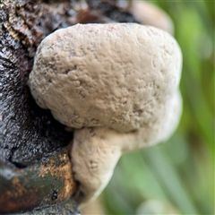 Unverified at suppressed - suppressed