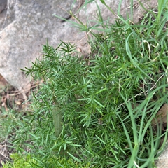 Unverified at suppressed - suppressed