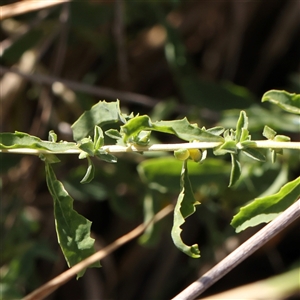 Unidentified at suppressed - 20 Jan 2025