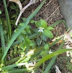 Unverified at suppressed - suppressed