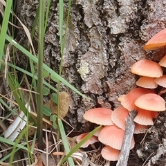 Unverified at suppressed - suppressed