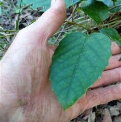 Unverified at suppressed - suppressed