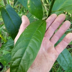 Unverified at suppressed - suppressed