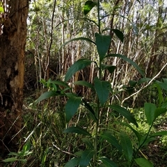 Unverified at suppressed - suppressed