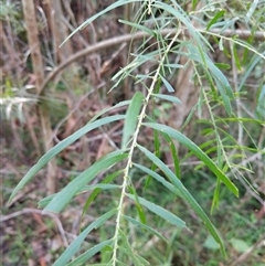 Unverified at suppressed - suppressed