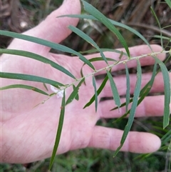 Unverified at suppressed - suppressed