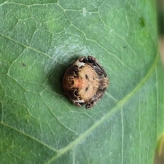 Unverified at suppressed - suppressed