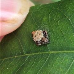 Unverified at suppressed - suppressed