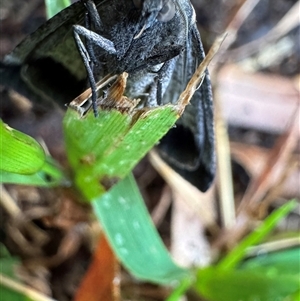 Unverified at suppressed - suppressed