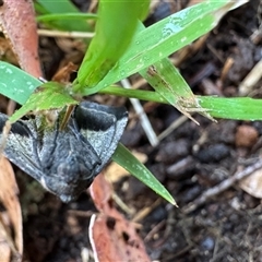 Unverified at suppressed - suppressed