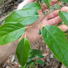 Unverified at suppressed - suppressed