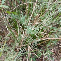 Unverified at suppressed - suppressed