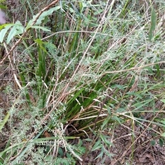 Unverified at suppressed - suppressed