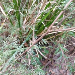 Unverified at suppressed - suppressed