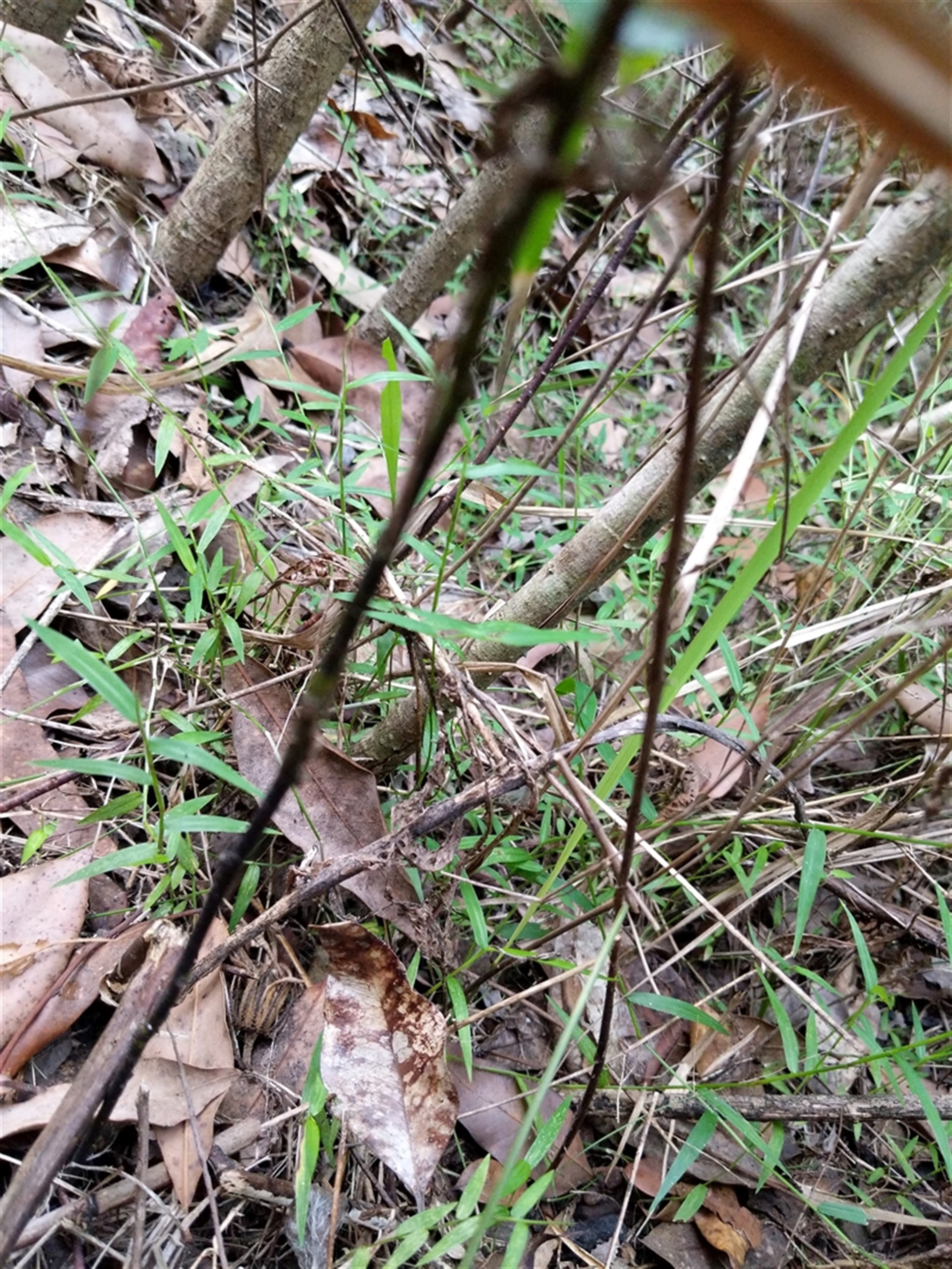 Unverified at suppressed - suppressed