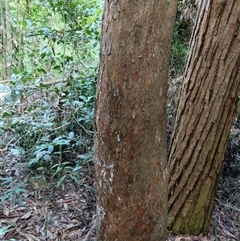 Unverified at suppressed - suppressed