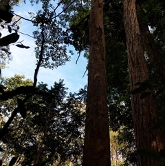 Unverified at suppressed - suppressed