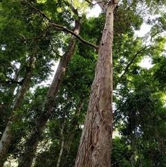 Unverified at suppressed - suppressed