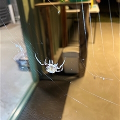 Unverified at suppressed - suppressed