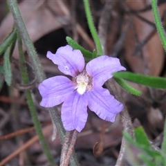 Unverified at suppressed - suppressed